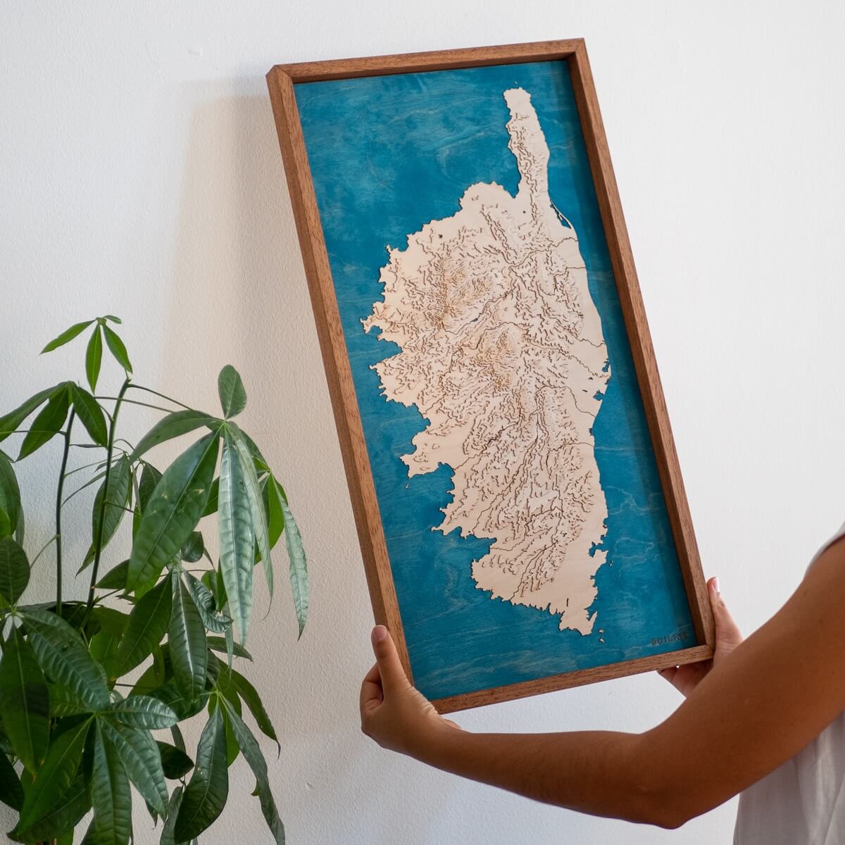 Accrochage rapide du tableau de la Corse